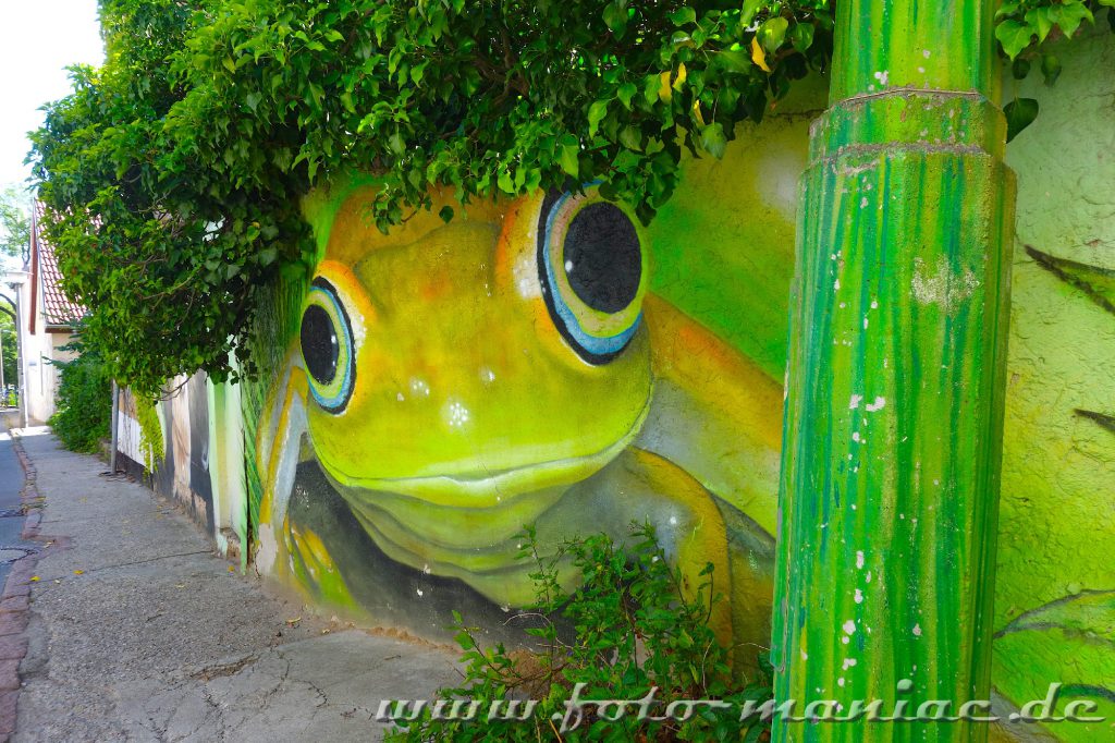 Graffiti zeigt Frosch