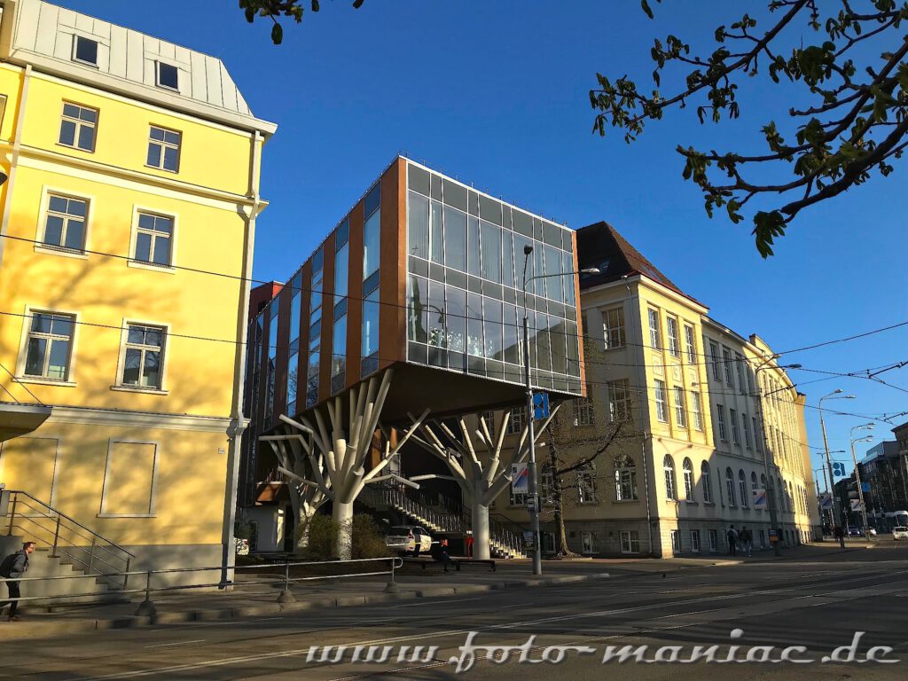 Sehenswert in Tallinn - Modernes Gebäude auf baumähnlichen Stützen