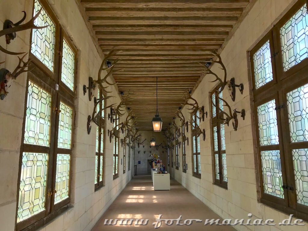 Trophäen hängen beiseite im Jagdsaal von Chateau Chambord