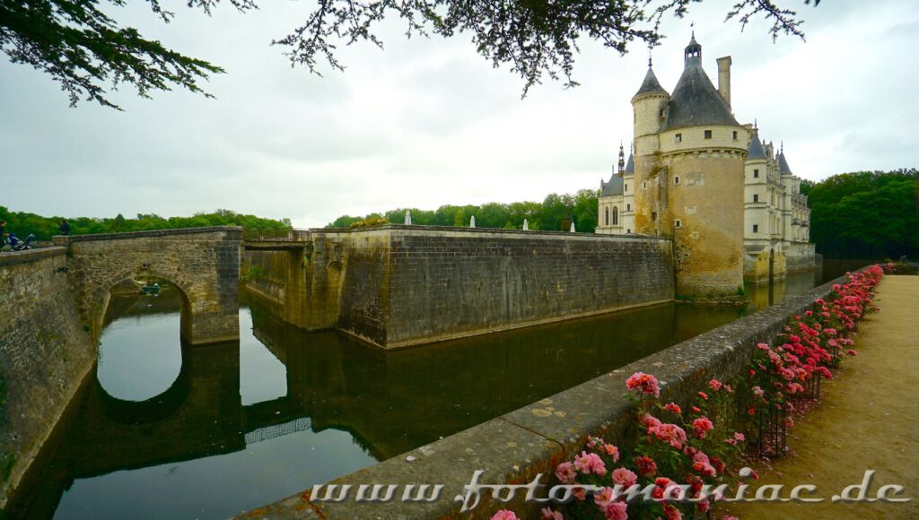 Rote Rosen schmücken eine Mauer von Chateau Chenonceau