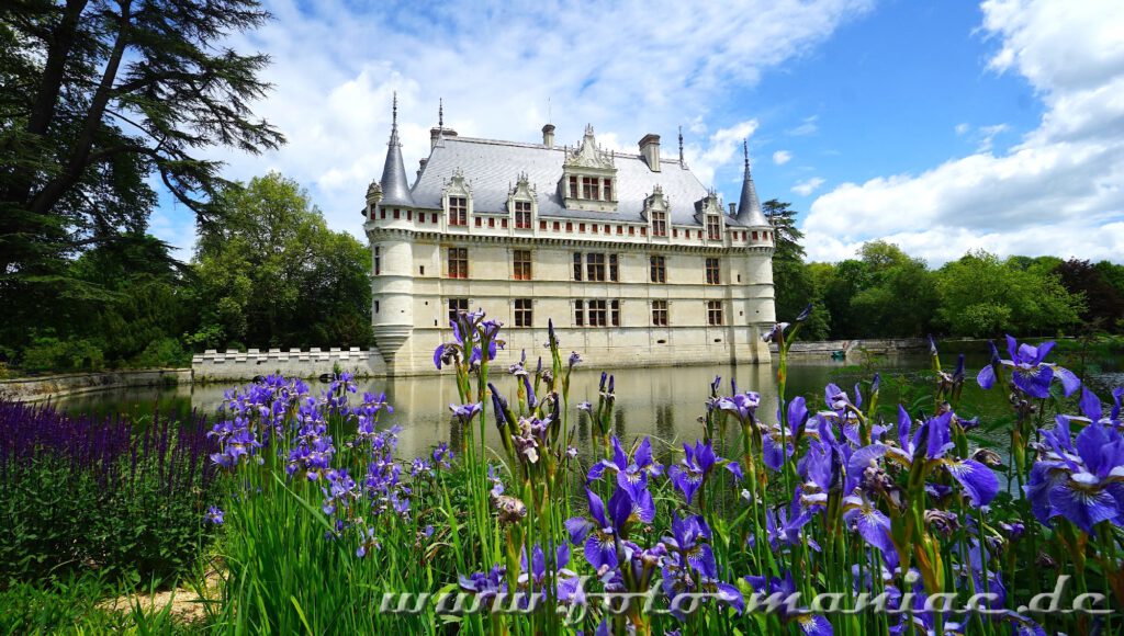Harmonie in Weiß hinter blauen Blüten - das traumhafte Chateau Azay-le-Rideau