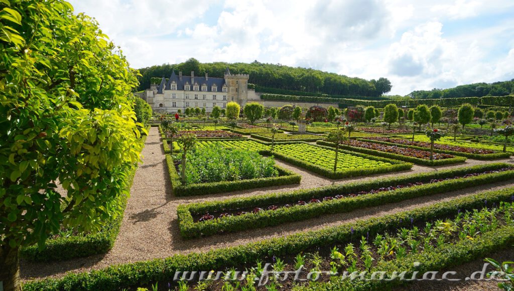 Hinter den Gemüsebeeten das Chateau Villandry