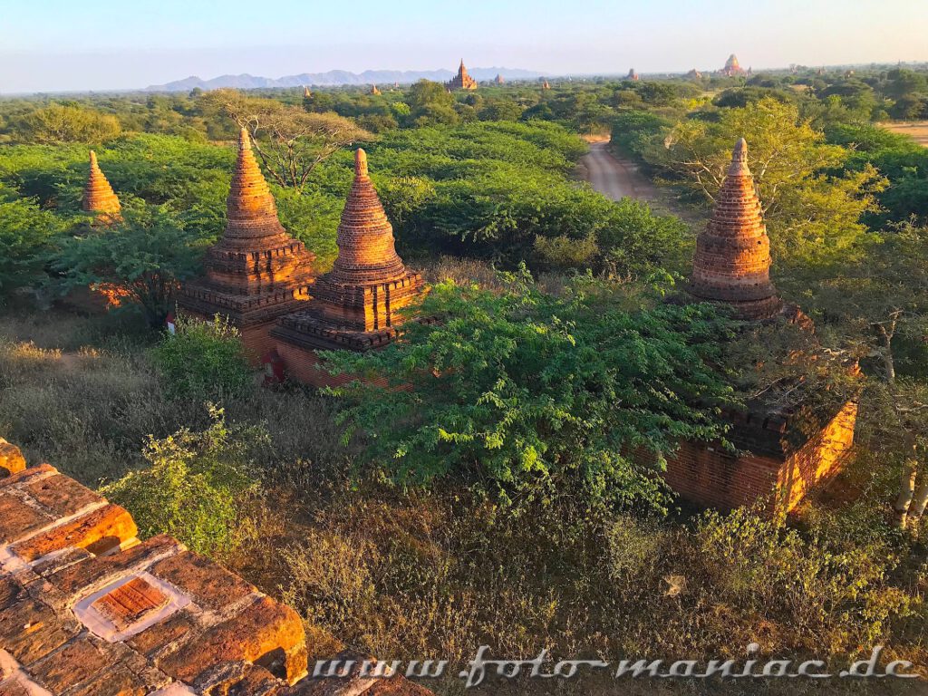 Blic von einem Dach auf Tempel in Bagan