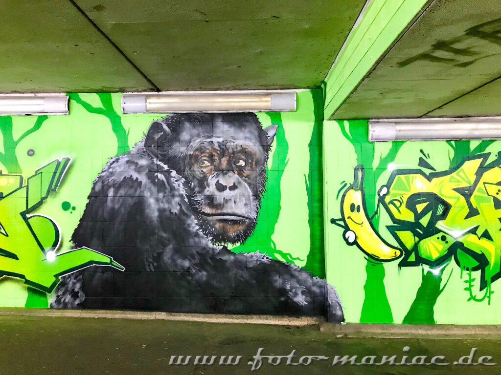 Affe und Banane auf grüner Wand