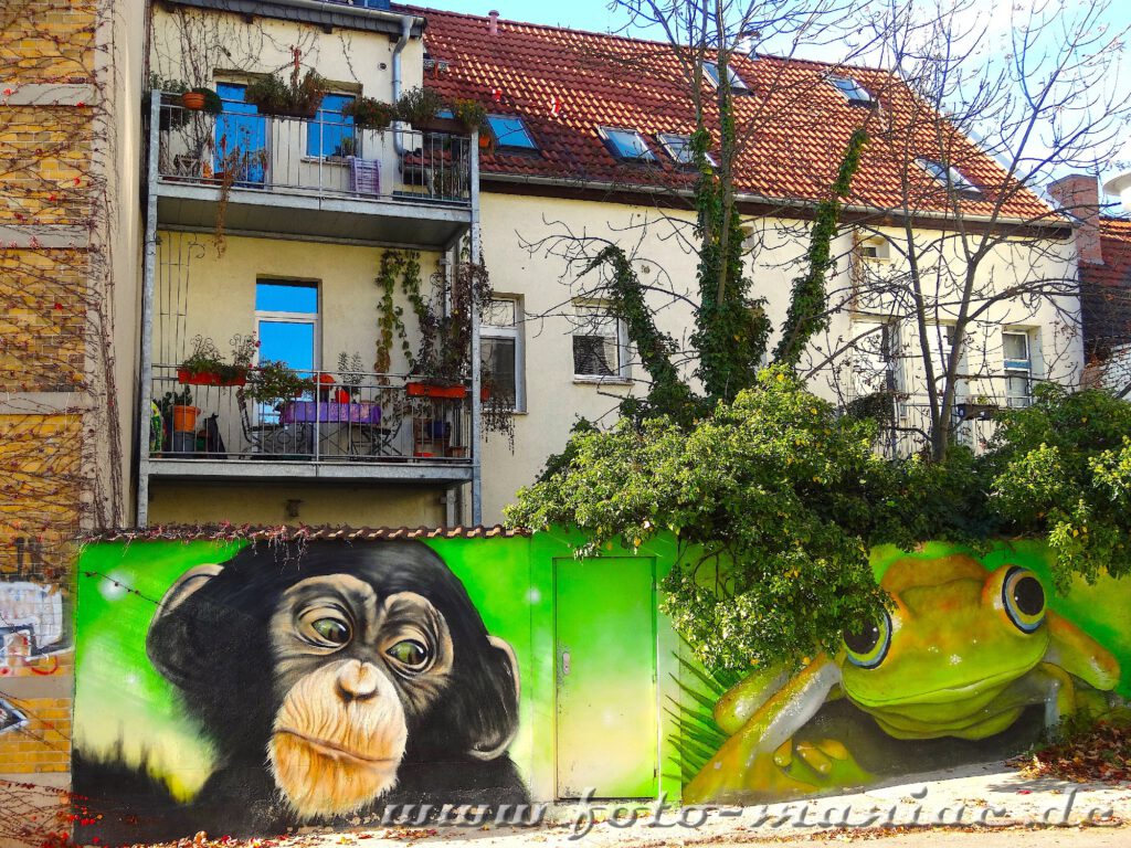 Schöne Graffiti in Halle - Affe und Frosch auf einer Mauer