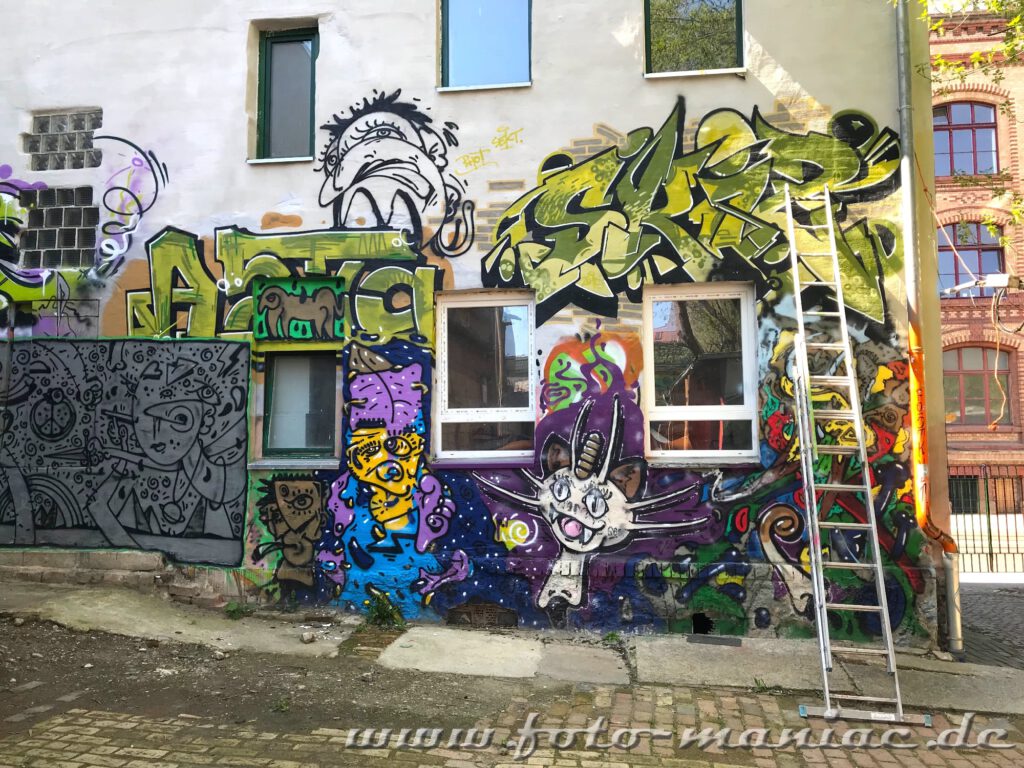 Eine Leiter steht vor einer Graffito-Hauswand