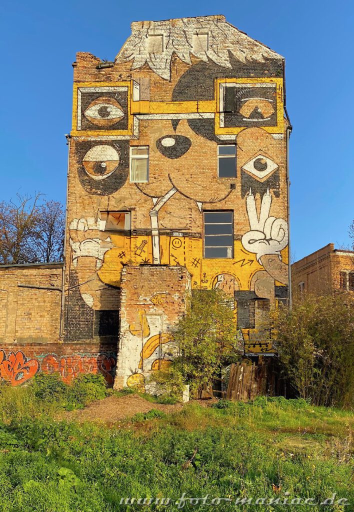 Schöne Graffiti in Halle - Tier-Gesicht wurde auf maroder Fassade