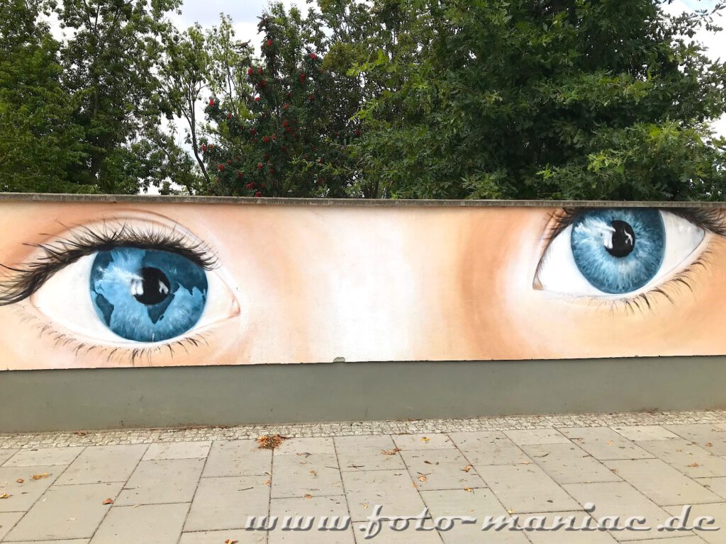 Zwei blaue Auge schauen von der der Mauer