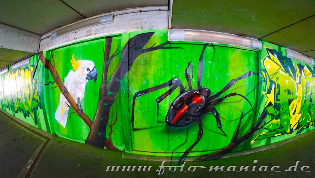 Schöne Graffiti in Halle - Käfer und Kakadu auf einer grünen Wand