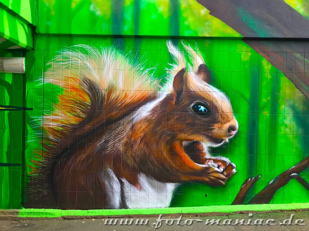 Eichhörnchen-Graffito auf grüner Wand