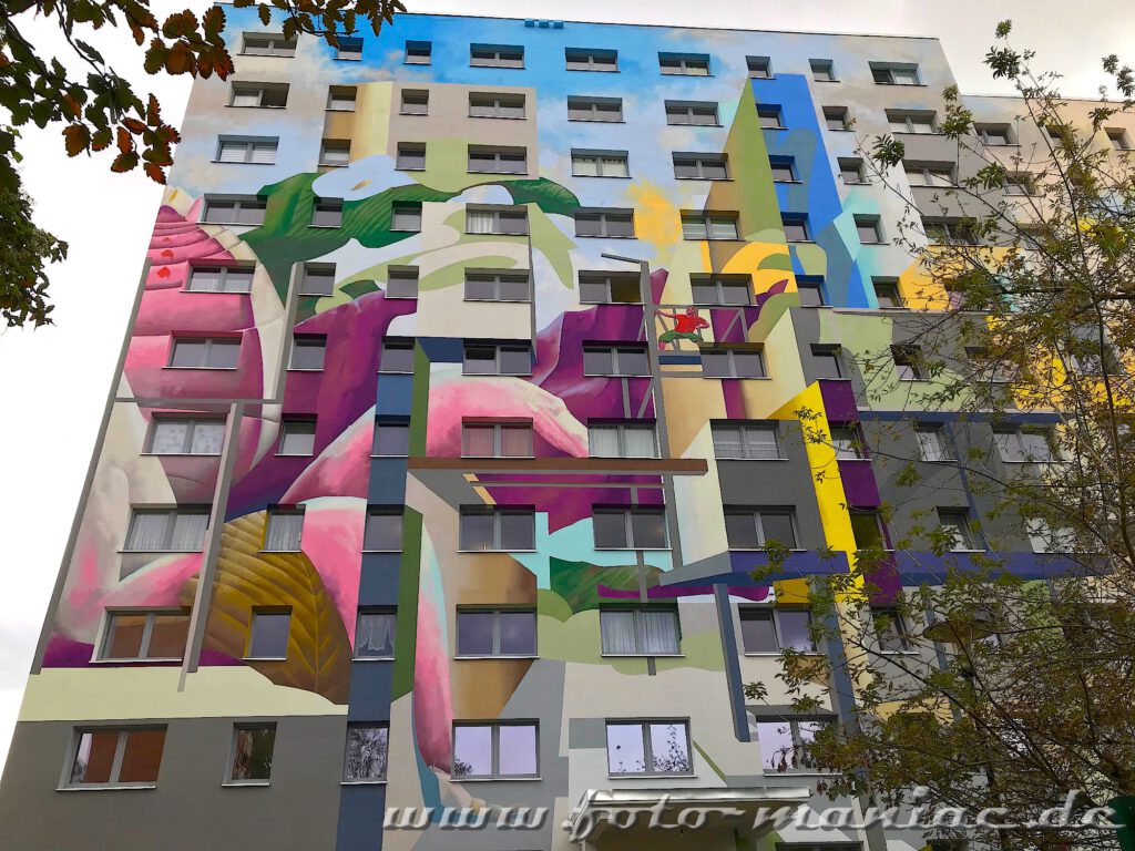 Schöne Graffiti in Halle - Mural auf Plattenbau