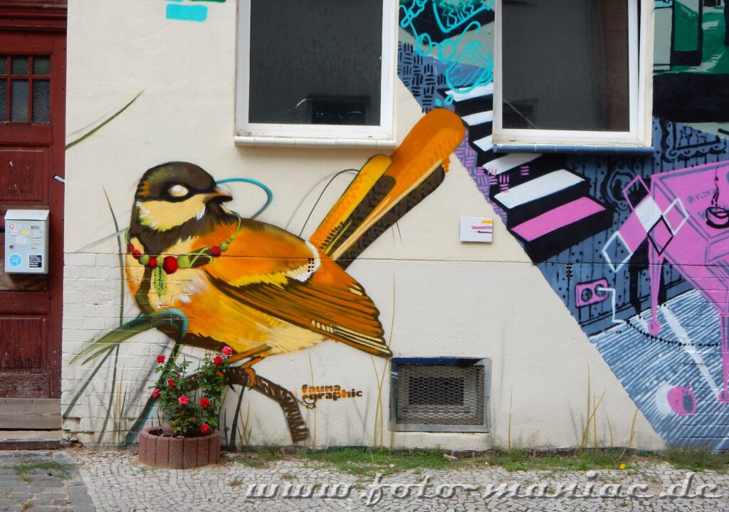 Graffiti von einem Vogel auf der Fassade