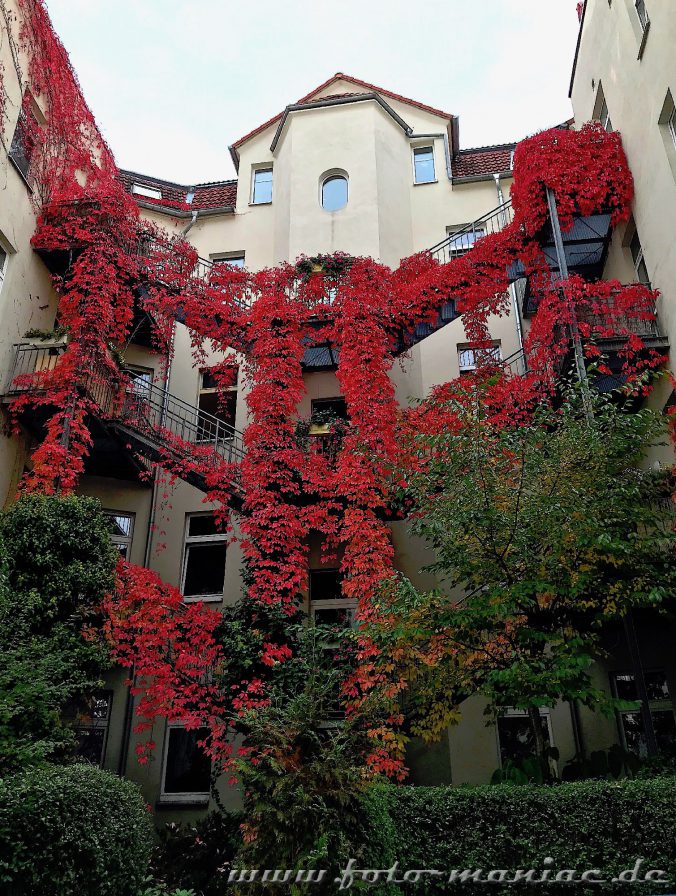 Sehenswerte Treppen: Treppenaufgang an einem Haus in Halle im Herbst