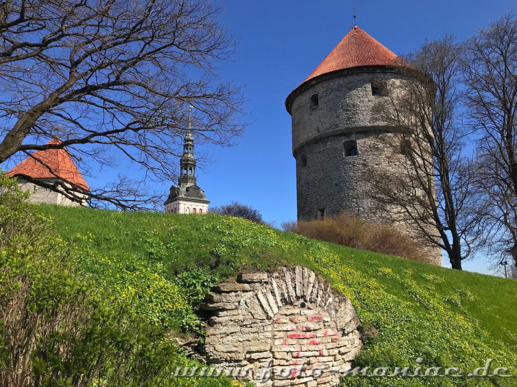 Sehenswert in Tallinn - der Kanonenturm 