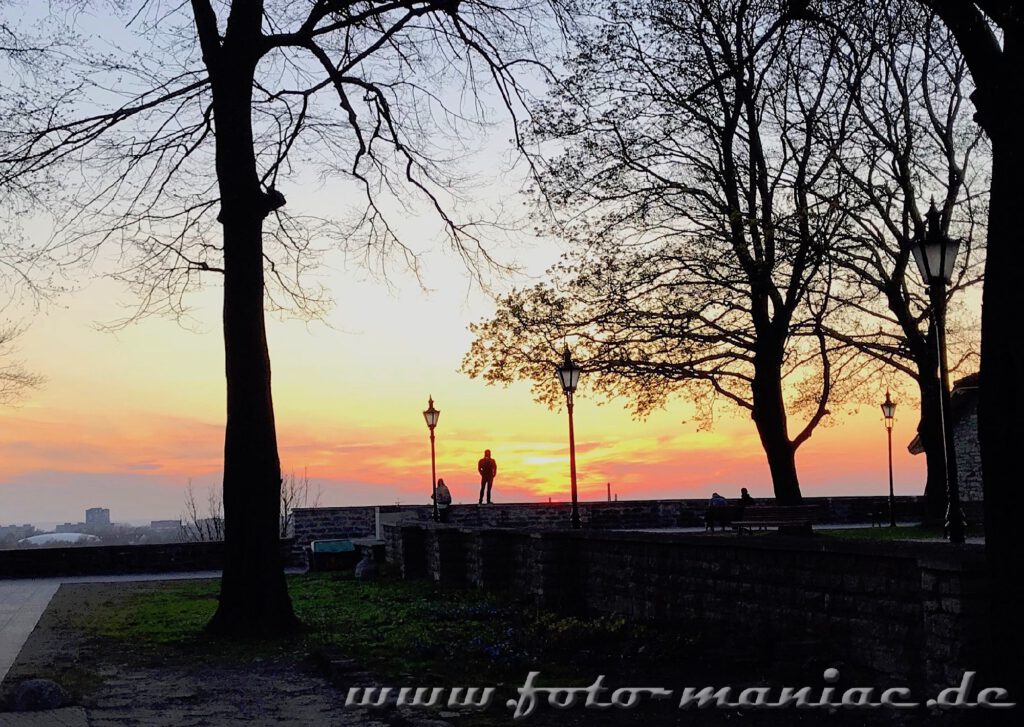 Sehenswert in Tallinn - Sonnenuntergang auf dem Domberg