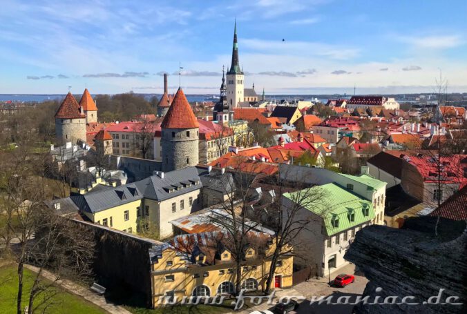 Ein Blick von oben zeigt, was sehenswert in Tallinn ist