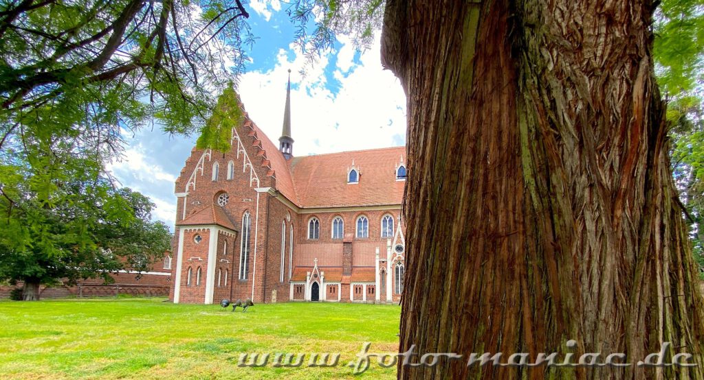 Blick uf die St. Petri Kirche im idyllischen Wörlitzer Park