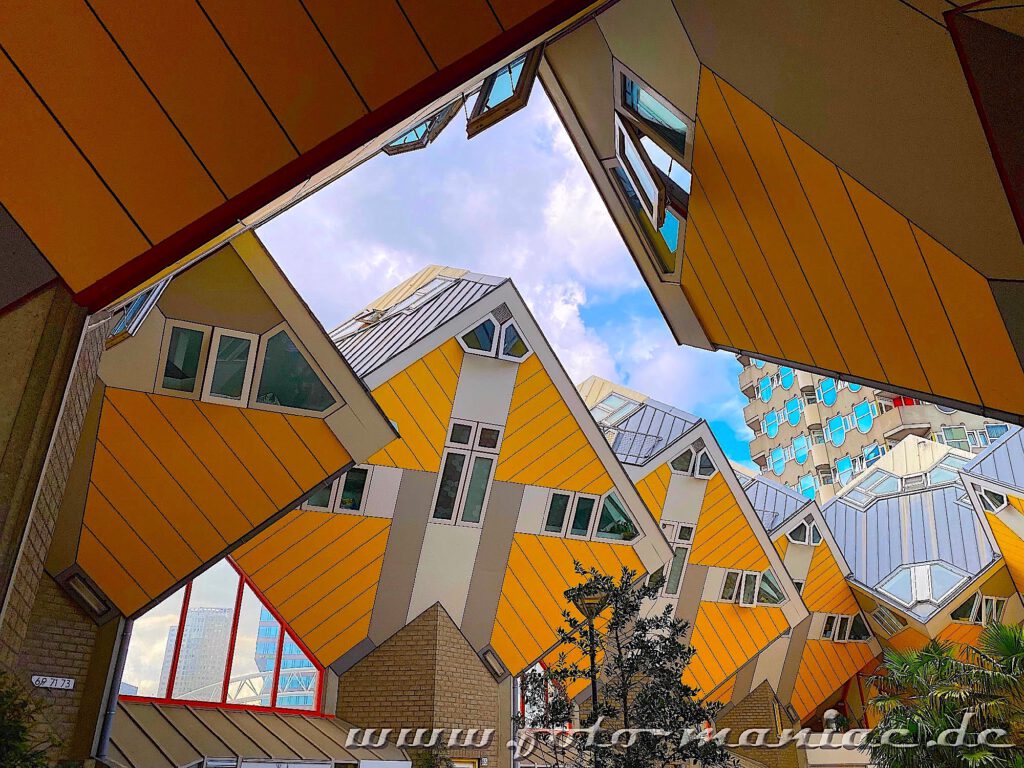 Rotterdams gelbe Kubushäuser stehen wie ein Wald