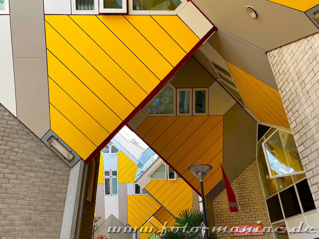 Blick in Rotterdams gelbe Kubushäuser-Dschungel