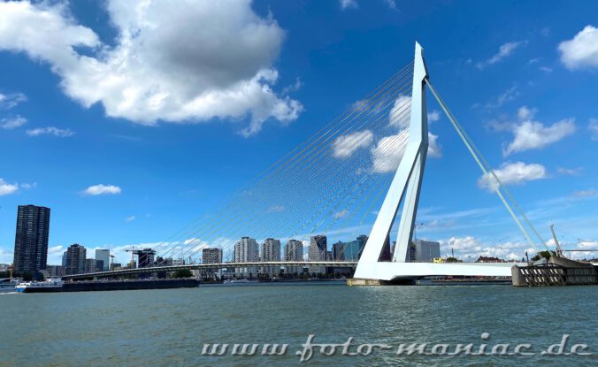 Die Erasmusbrücke gehört zu den Wahrzeichen von Rotterdam