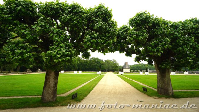 im Park von Chateau Chenonceau