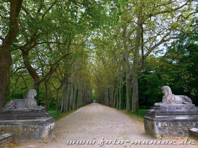 Zwei Sphingen am Beginn der Platanen-Allee zum idyllischen Chateau Chenonceau