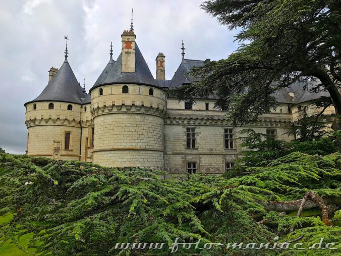 Das burgähnliche Chateau Chaumont schmückt sich mit mächtigen Bäumen