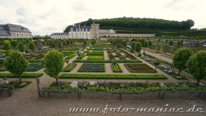 Blick in den Gemüsegarten von Chateau Villandry