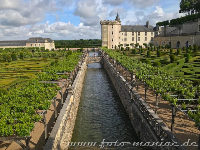 Exakt ausgerichtete Spaliere am Wassergraben im Garten von Villandry