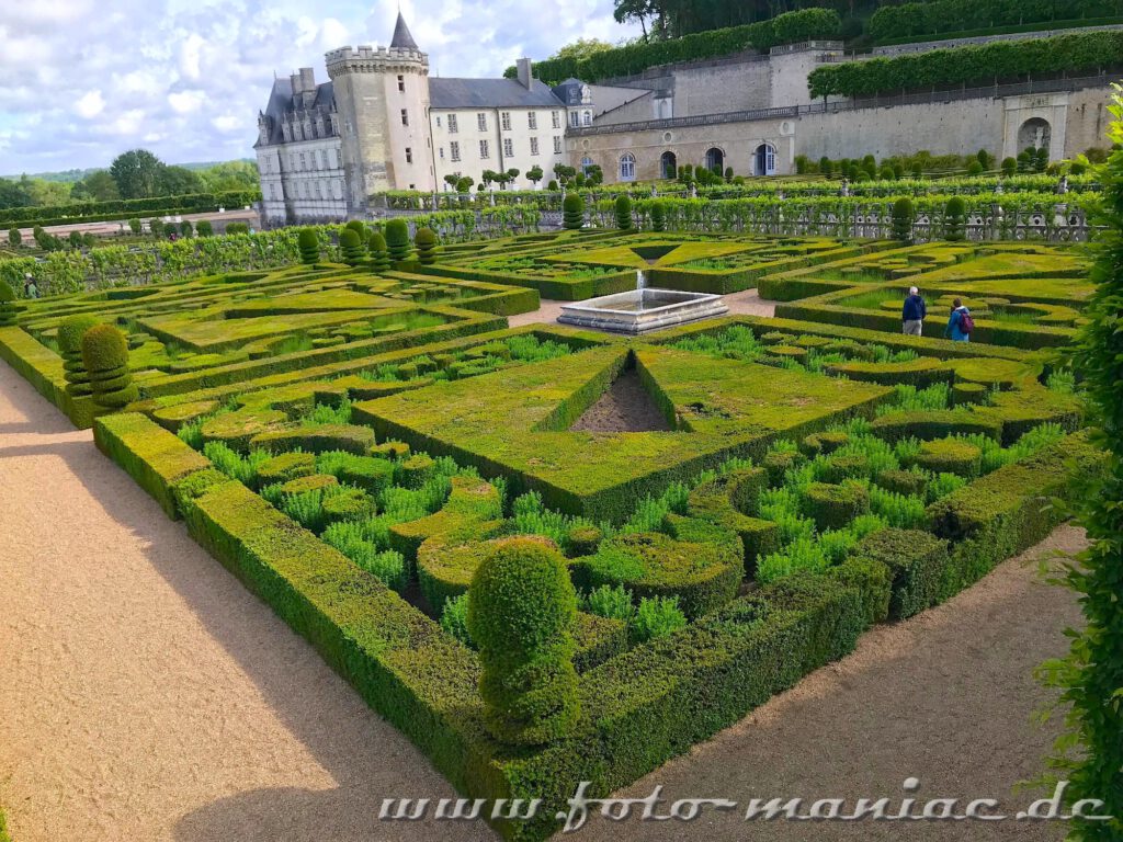 Exakter Formschnitt im Garten vom malerischen Chateau Villandry