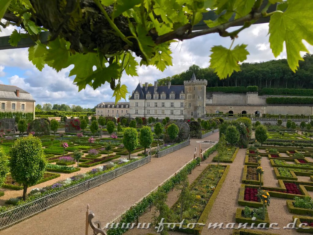 Blick über den Gemüsegarten zum malerischen Chateau Villandry