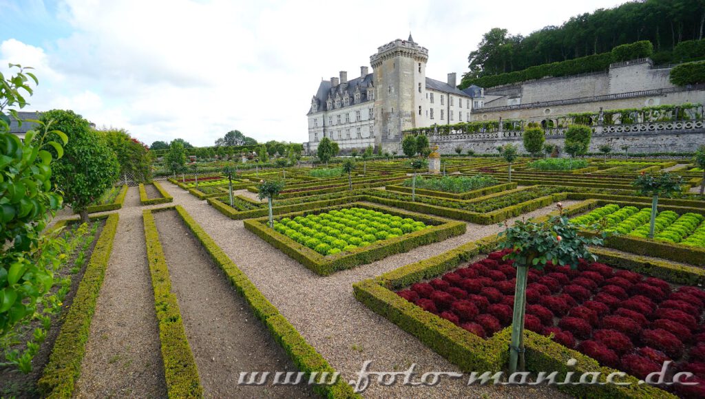 Gemüsebeete im Garten vom malerischen Chateau Villandry