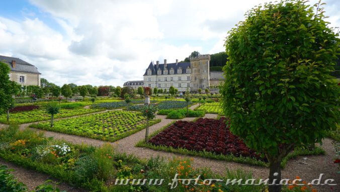 Hinter den Gemüsebeeten das Chateau Villandry