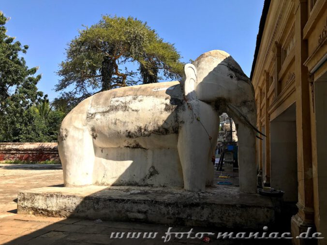 Am Eingang begrüßt ein steinerner Elefant die Besucher der Shwezigon Pagode