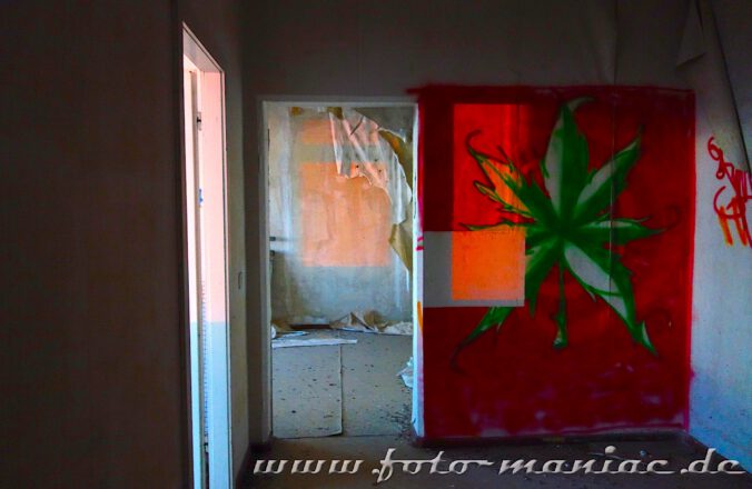 Bild von Hanfpflanze auf rotem Grund an der Wand