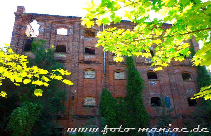 Blick auf die Fassade der verlassenen Spritfabrik in Halle