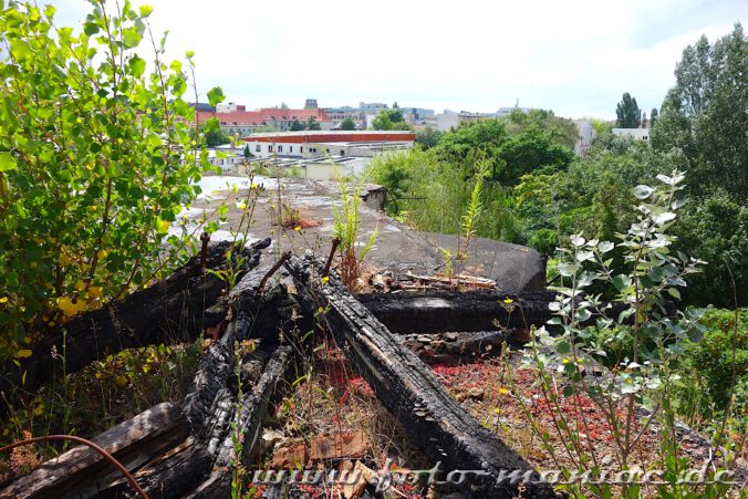 Verkohlte Balken auf dem Dach der verlassenen Spritfabrik in Halle