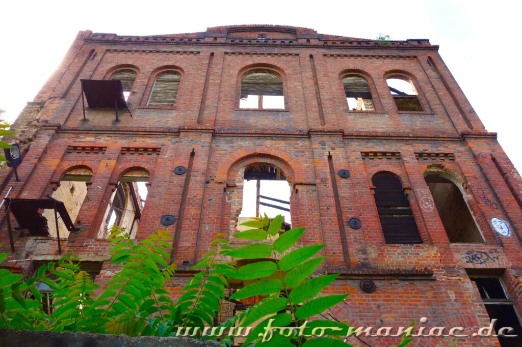 Nur die Mauern eines Gebäudes der verlassenen Spritfabrik in Halle stehen noch