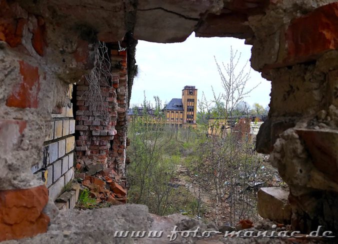 Blick durch Mauerreste in der verlassenen Brauerei Sternburg