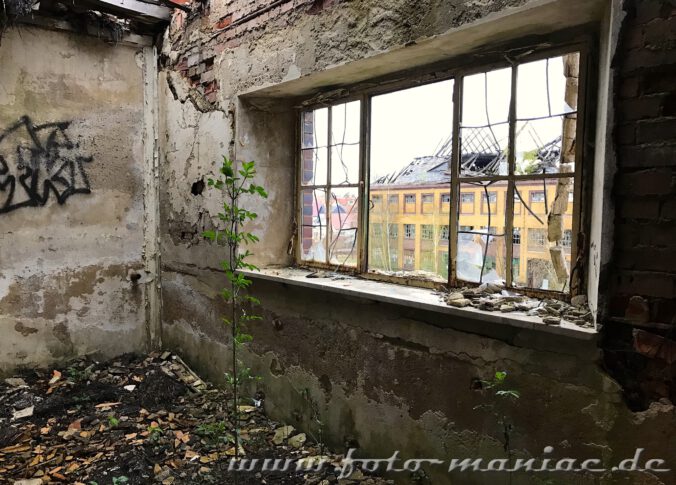 Blick auf ein Gebäude der verlassenen Brauerei Sternburg
