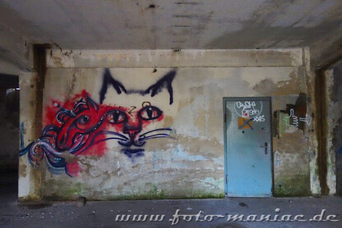 Graffito in der verlassenen Brauerei Sternburg