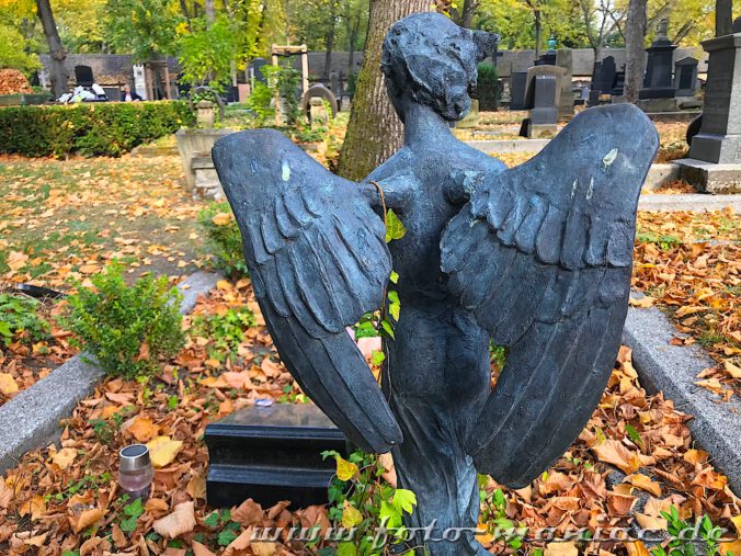 Engel-Skulptur auf dem Stadtgottesacker