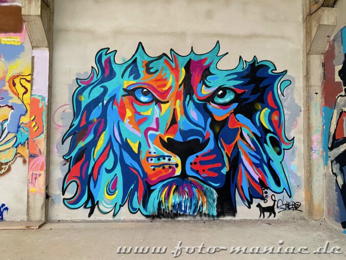 Graffiti im Sportkomplex -Löwengesicht und eine schwarze Katze
