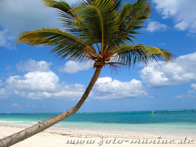 Weiße Sandstrände mit Palmen im Paradies in der Karibik