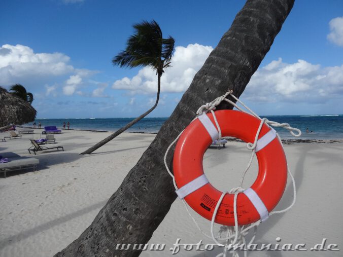 Rettungsreifen an einer Palme im Paradies in der Karibik