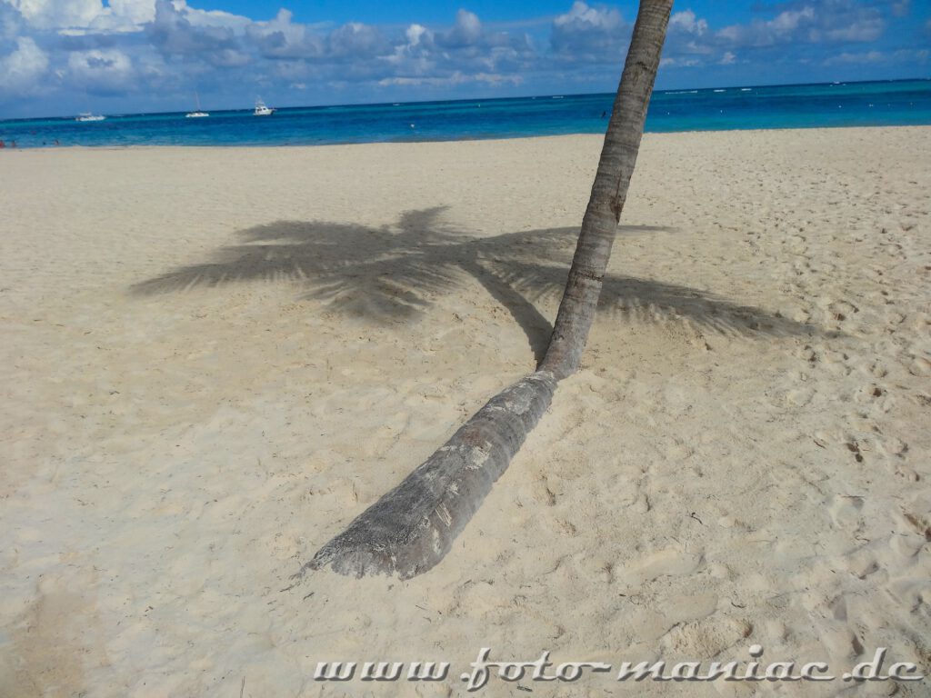 Schatten einer Palme im Paradies in der Karibik