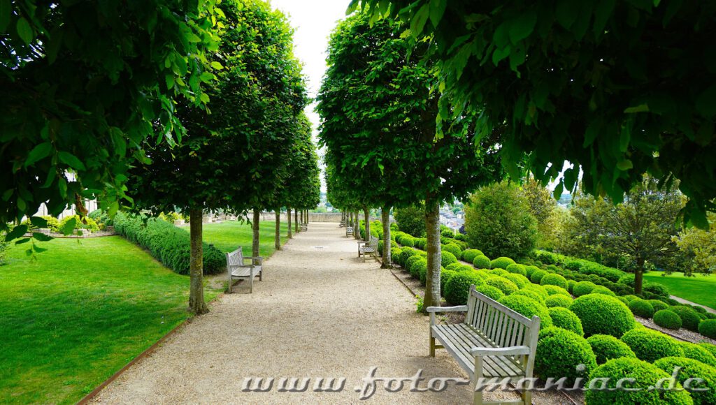 Kleine Allee im Garten von Schloss Amboise