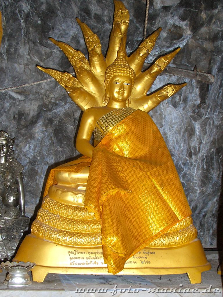Buddha in der Tigerhöhle