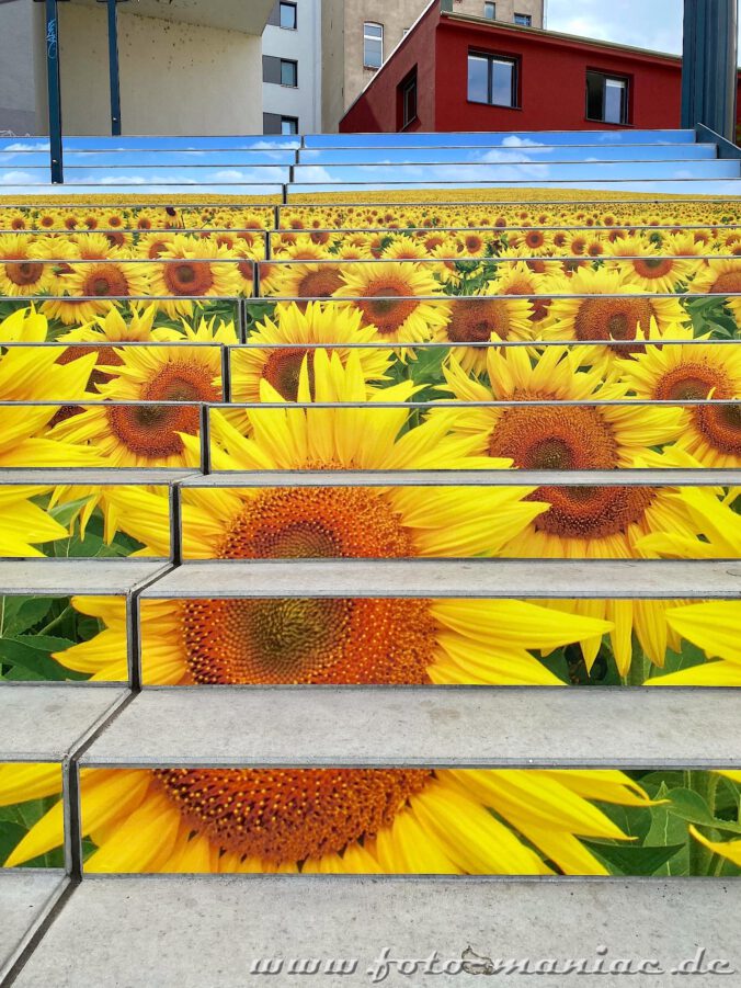 Streetart - Sonnenblumen wachsen auf einer Treppe