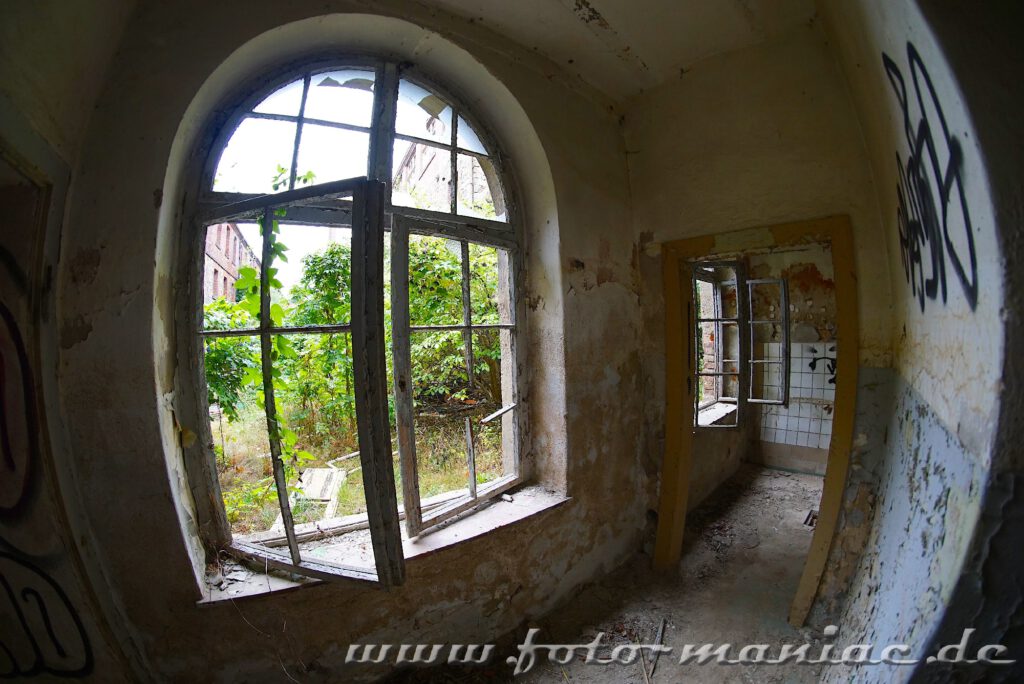 Verlassene Orte in Goerlitz - Fenster im Kondensatorenwerk